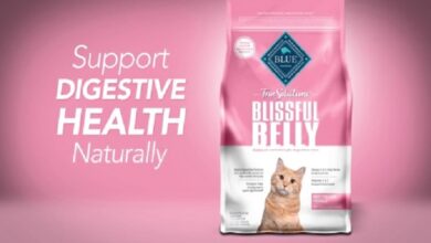 blissful belly cat food